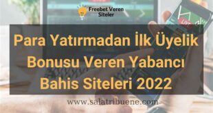 Para Yatırma Bonusu Veren Yabancı Sitelerin Özellikleri